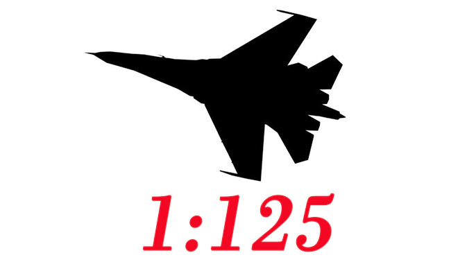1:125 Aircraft