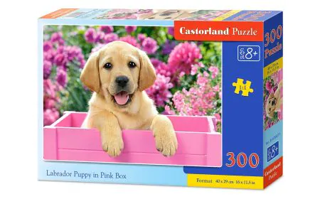 Castorland Jigsaw Premium 300 pc - Labrador Puppy in Box