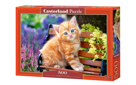 Castorland Jigsaw 500 pc - Ginger Kitten