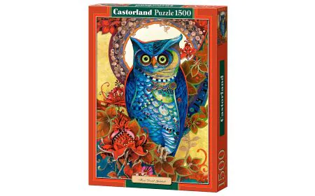 Castorland Jigsaw 1500 pc - Hoot, David Galchutt