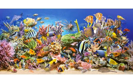 Castorland Jigsaw 4000 pc - Underwater life