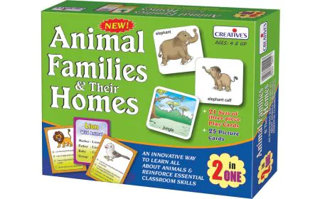 * Creative Pre-School - Animal & Homes -2 in one Game
