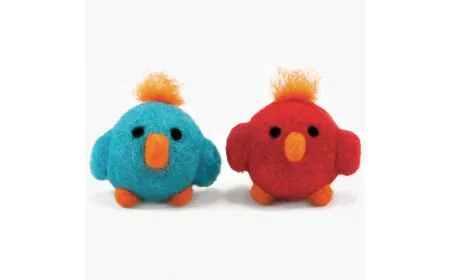 * Dimensions Needle Felting - Round & Wooly: Birds