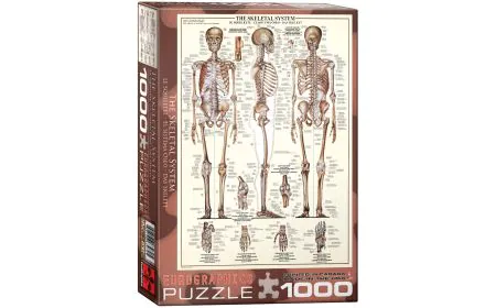 Eurographics Puzzle 1000 Pc - The Skeletal System