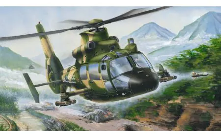 Trumpeter 1:48 - Z-9G Armed Helicopter