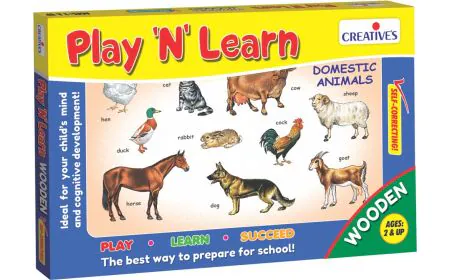 * Creative Educational - Play N  Learn   Domestic Animals
