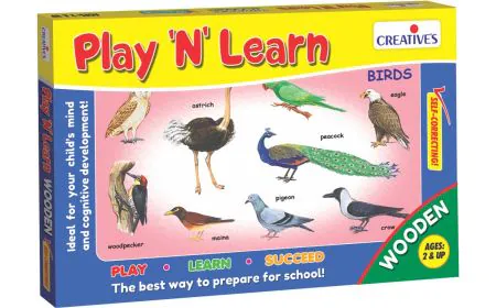* Creative Educational - Play N  Learn-Wooden   Birds