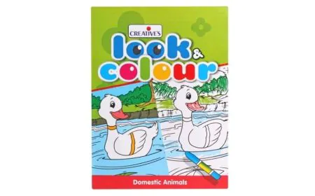 * Creative Books - Look N Colour -Domestic Animals