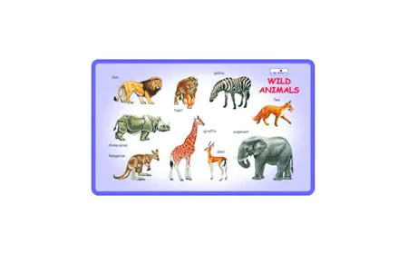 * Creative Early Years - Play and Learn - Wild Animals