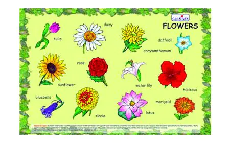 * Creative Early Years - Play and Learn - Flowers