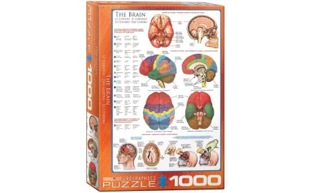 Eurographics Puzzle 1000 Pc - The Brain