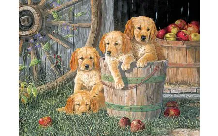 Cobblehill Puzzles Multi 350 - Puppy Pail (Family)