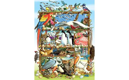 Cobblehill Puzzles Multi 350 - Birds of the World (Family)
