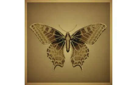 Miniart Crafts - Golden Butterfly Bead Embroidery Kit