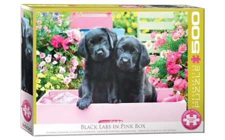 Eurographics Puzzle 500 Pc - Black Labs in Pink Box