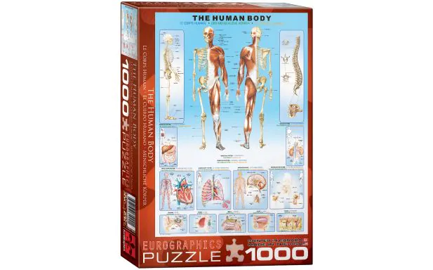 Eurographics Puzzle 1000 Pc - The Human Body