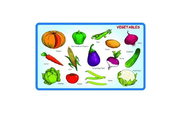 * Creative Early Years - Play and Learn - Vegetables